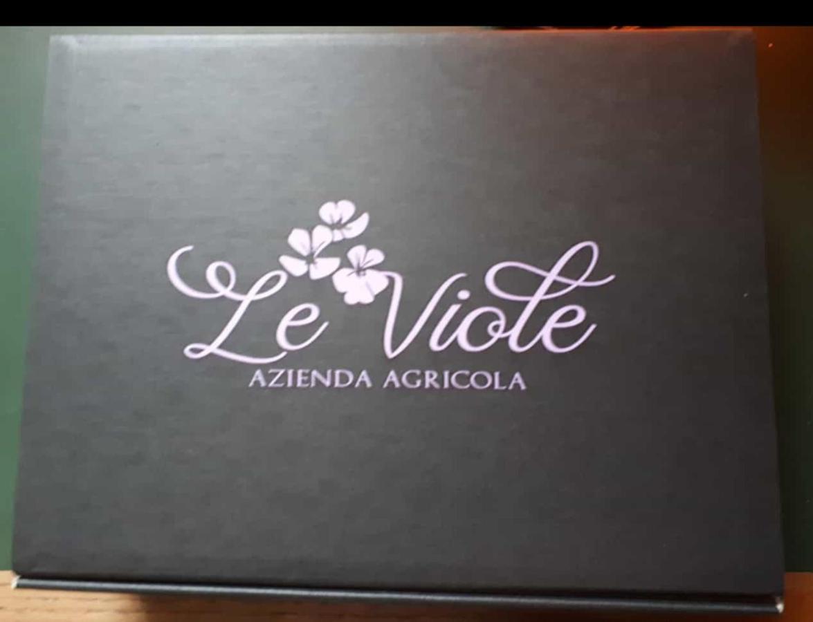 Pensjonat Agriturismo Le Viole Barolo Zewnętrze zdjęcie